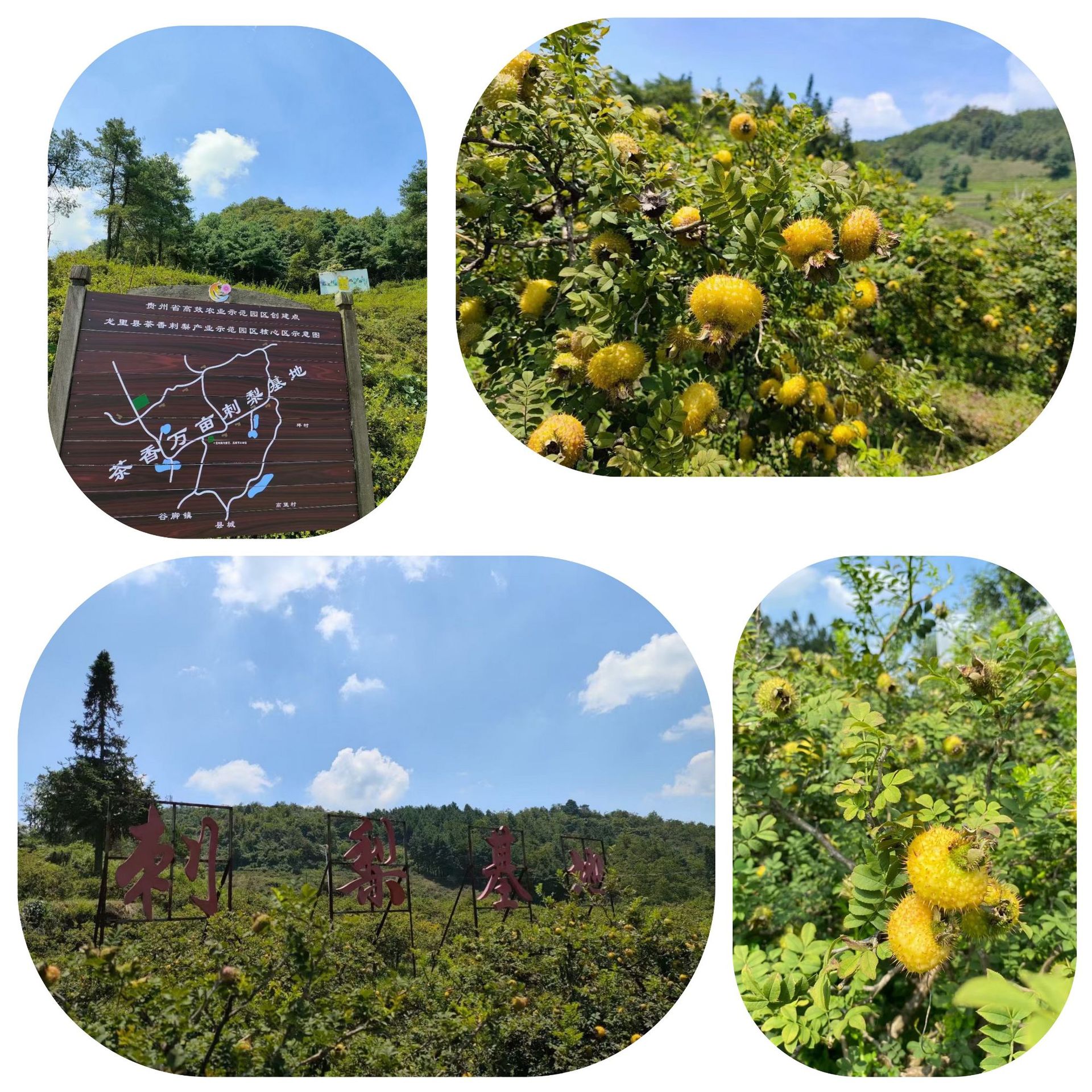 O1CN01wI0iRk2CT986kkMgl_!!2215643678474-0-cib.jpg?__r__=1692861611023