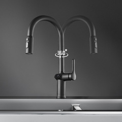 家用全銅廚房菜盆萬向水龍頭 輕奢數顯高品質抽拉式冷熱龍頭H2208