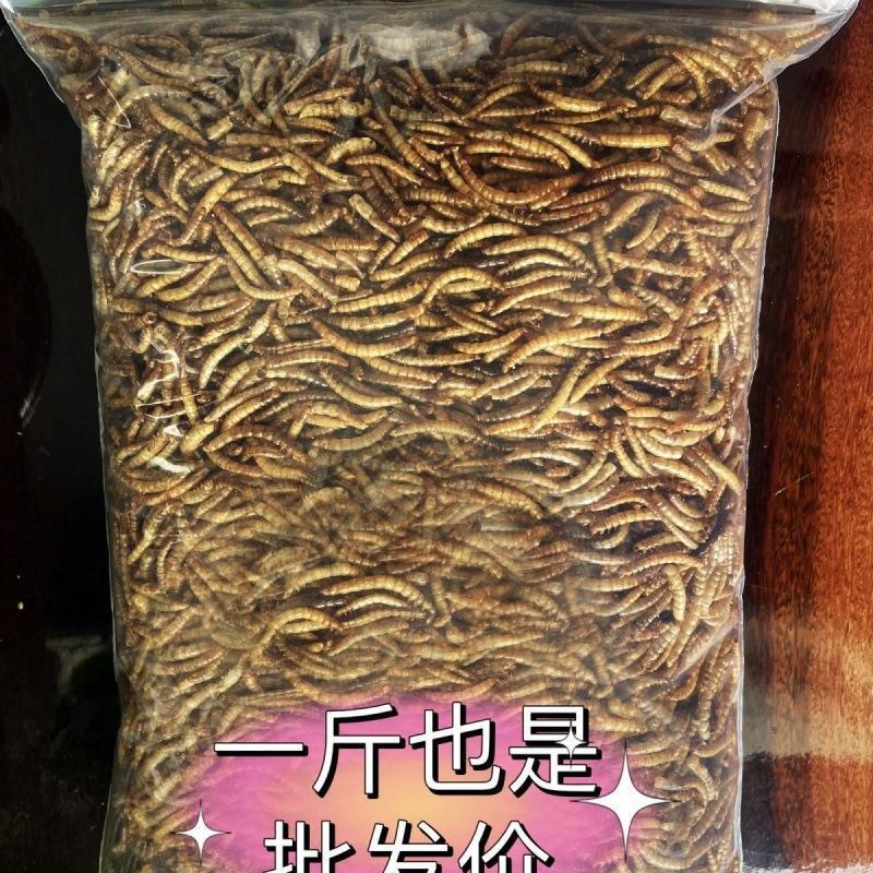 Hamster Food Freeze-Dried Rutin Chicken Mealworm High Protein Mealworm Dried Turtle Fish Bird Food Pet Snacks Dropshipping