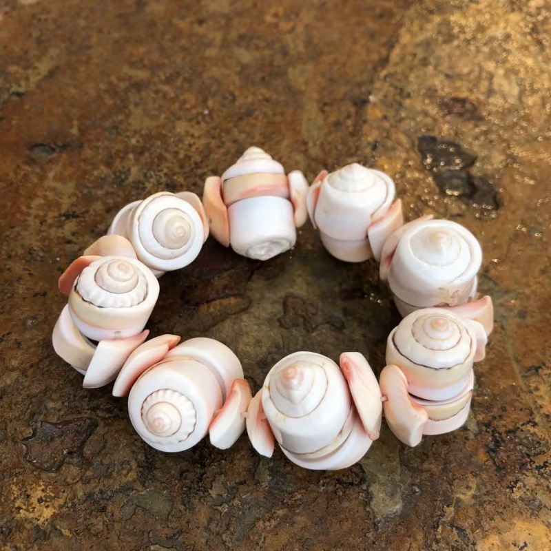 Conchas naturales conchas pulseras collares diy fresco versátil joyería correa de mano tienda artesanía característica fuente