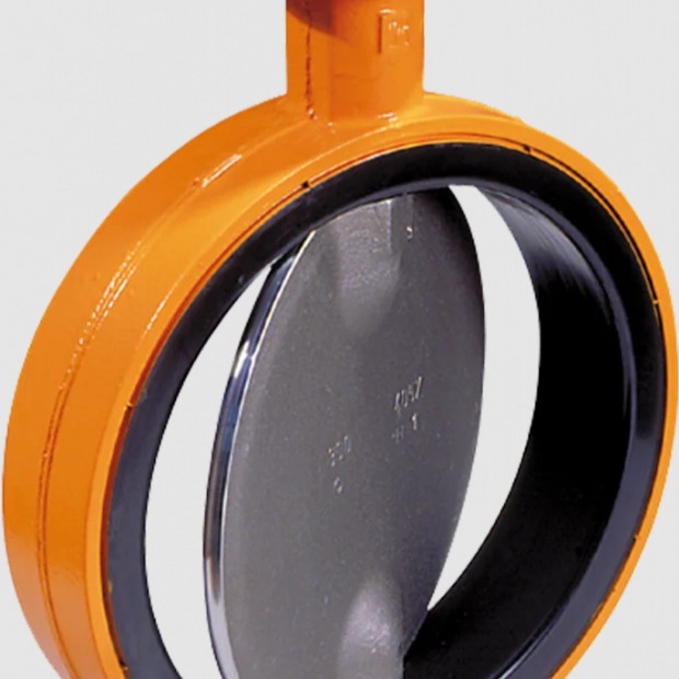 供应  荷兰  WOUTER WITZEL  EVTLLS  阀 进口