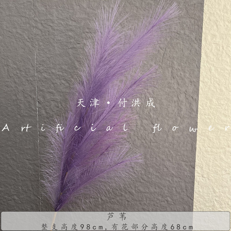 갈대 12개 - 진한 보라색