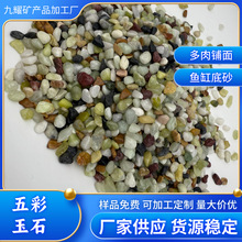 厂家批发五彩石丹东绿水族造景花盆铺面园林装饰多肉鹅卵石绿玉石