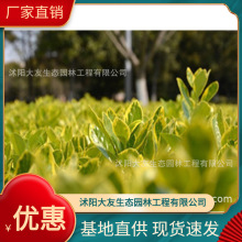 ~l ԮaN  ƷNRȫ^쾰̾G