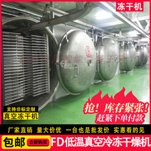 鳄鱼肉50平方自动冻干机 30平方商用小青柑低温冷冻干燥冻干设备