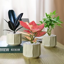 kGֲ҃ȿ͏d[LСļ˺Bȩ