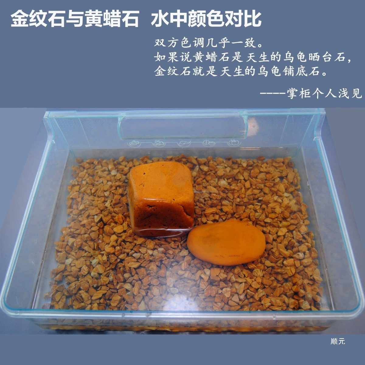 Желтая восковая черепаха сушит на платформе натуральный восковой камень