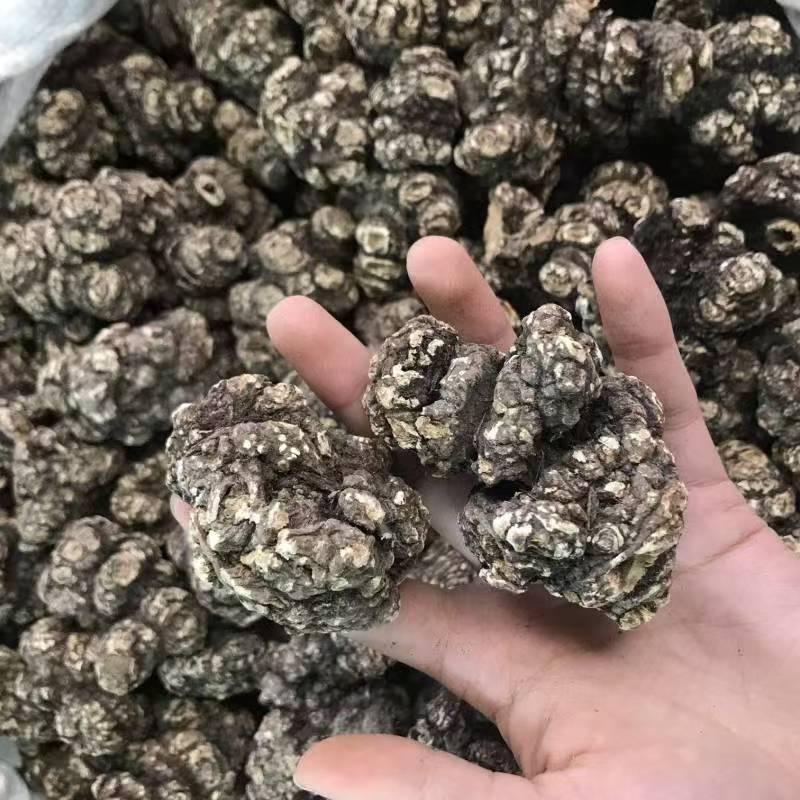 Chuan Xiong Sichuan Lovage Rhizome Slices Dried Herb for Decoction and Tea 500g in use