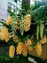 ʯСmλ\SɫGֲ辰mmB