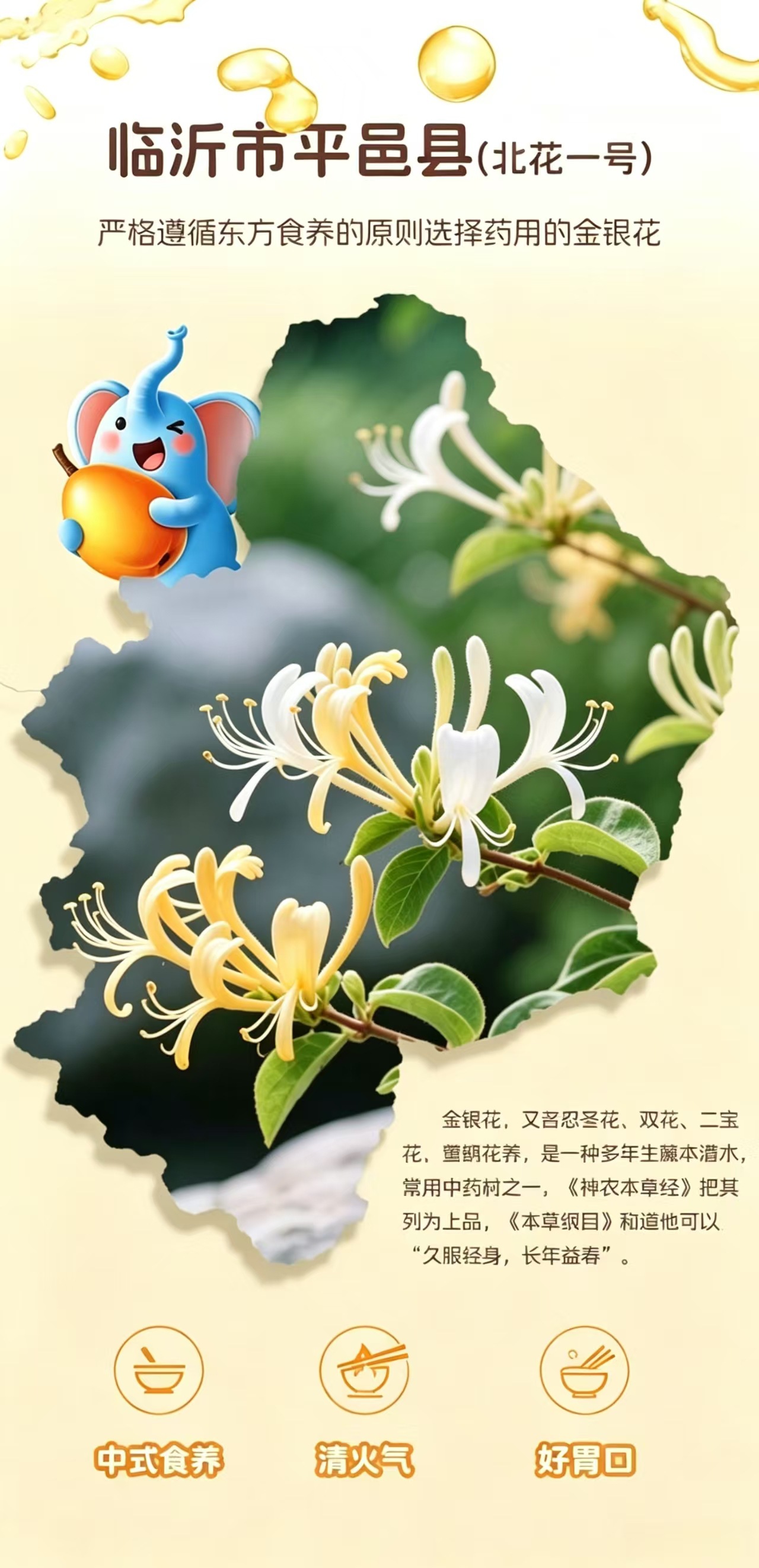 Honeysuckle Loquat Concentrated Juice Drink 100ml Can Jin Yin Hua Pi Pa Zhi Refreshing Fruit Vegetable Beverage specifications