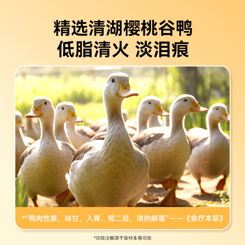 Carne de pato de frutas para perros seca para perros pequeños y medianos, rodajas de pato de peluche, rechinar los dientes, recompensas para morder, bocadillos para perros, comida para perros