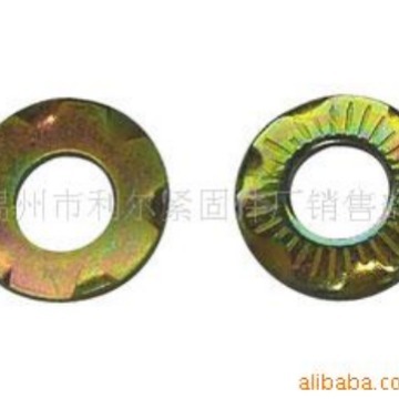 接地垫圈(图)国标GB7245