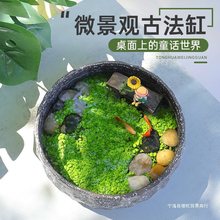 微景观灰猫垂钓陶瓷古法养鱼缸水培植物种子盆栽创意桌面生态造景