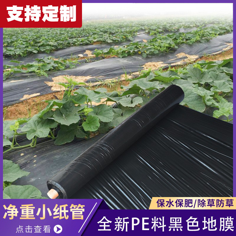 Mulchilla negra agrícola desherbado espesado mulchilla PE perforación plástico degradable tela de plástico mulchilla vegetales control de hierba