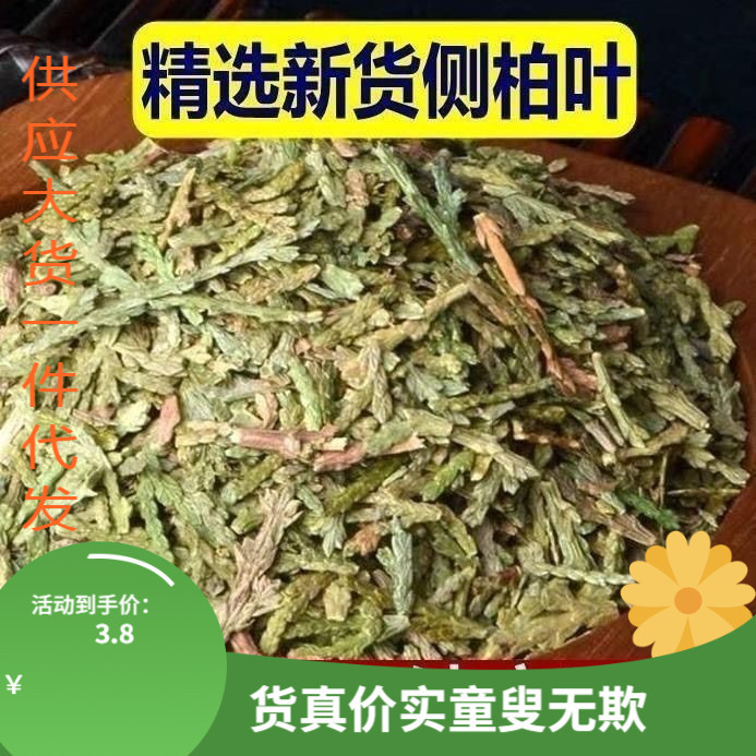 中药材生侧柏叶侧伯叶扁柏叶干丛柏叶洗头粉洗发泡头非野生何首乌