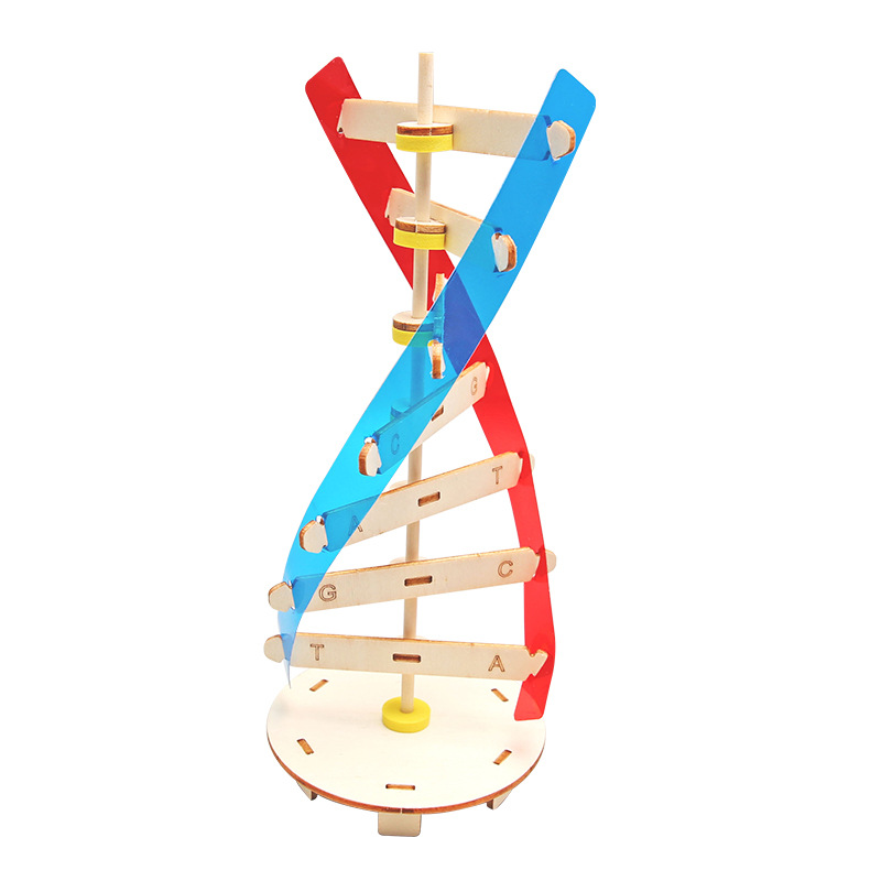 Experimento de ciencia para niños Tecnología pequeña producción hecha a mano DIY estudiantes de escuela primaria ciencia y educación frontera material paquete al por mayor