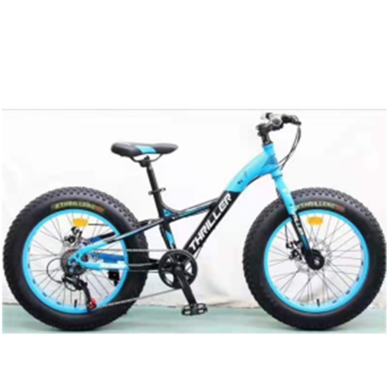 Spsc Certification 26inch Mountain Bike Off-Road Bike Beach Snowmobile 4.0 Large Tire Variable Speed Car