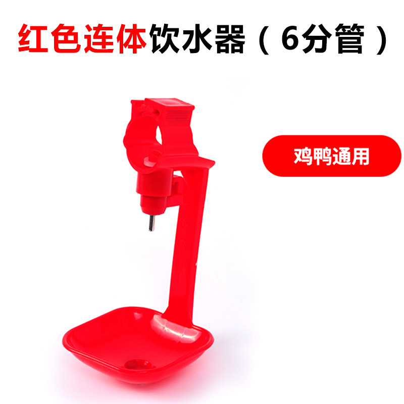 Fuente de consumición automática de la taza de la manguera de alimentación automática de la taza para el pollo