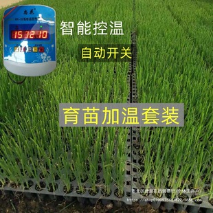 �r������ӟᾀ����ؿص؟ᾀ늼ӟᾀ�ؿ����Ӝؾ����ҿ՚�����