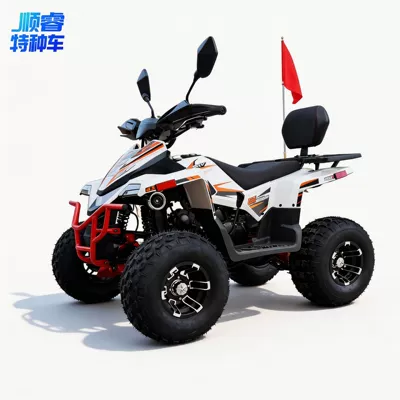 Shunrui brand smart shared scan-code 4-wheel beach vehicle, four-wheel kart, off-road motorcycle, electric all-terrain ATV