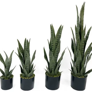 跨境爆款热销仿真植物虎皮兰盆景批发黄边盆栽装饰假花套装绿植