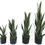 热销植物盆栽仿真假花