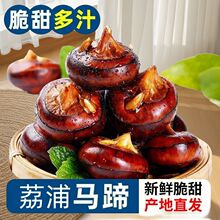 �����R��V���خa�ԷNݩ�j�����F��ˮ�������֭�����߲ˑ���ˮ��