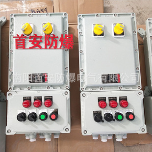 Shou'An Stainless Steel Lighting Power Explosion-Proof Box Explosion-Proof Distribution Box Distribution Cabinet Dust Junction Box Manufacturer Wholesale