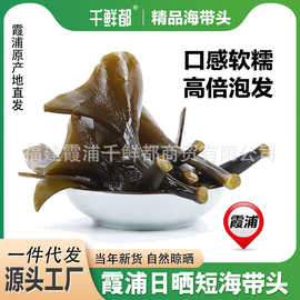 千鲜都霞浦厚实软糯海带根海带头特厚特级干货海带梗新货批发价