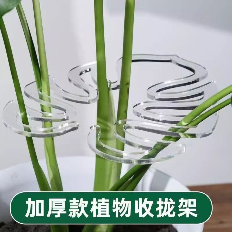 ชั้นวางดอกไม้พืชสีเขียวเสาค้ำยันไม้ไผ่ Monstera ไม้ค้ำยันป้องกันฝนในฤดูใบไม้ผลิขาตั้งต้นไม้เงินขาตั้งดอกไม้