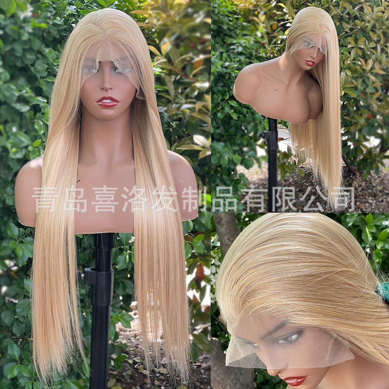 European and American style free 13x 6 large-area front lace wig mixed with golden chemical fiber long straight hair cross-border wigs headgear