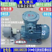 WBZ-CB-B80 B100 B125ʽͱ÷5.5KW YB3-132S-4