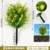 Yellow camellia eucalyptus ground nail