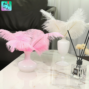 25-30cm�r�Bë����ë�W�t���ջ�c�����b���