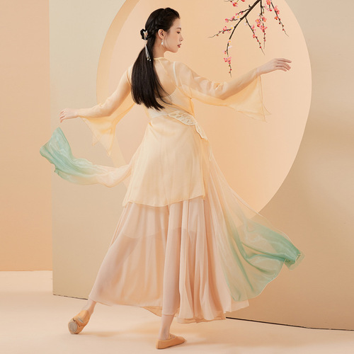 Classical dance clothes for women, elegant Hanfu, Chinese dance practice clothes, fairy-like gradient skirts, tops, performance clothes, ancient style