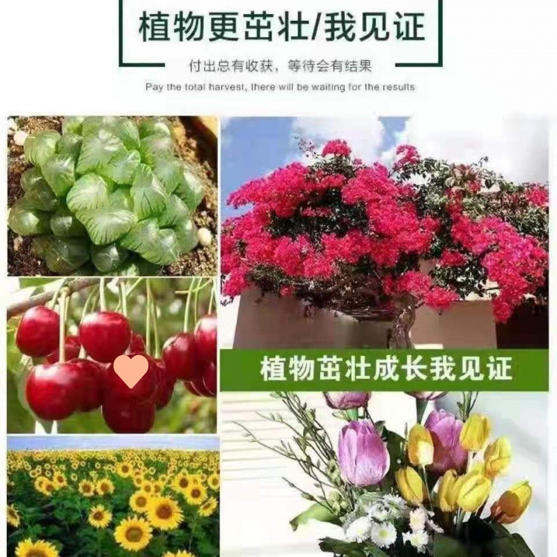 磷酸二氢钾肥料花卉专用叶面肥钾肥磷肥花肥花卉果树蔬菜通用肥|undefined