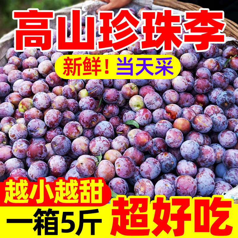 【珍珠李】高山脱骨李小脆红四川半边红当季新鲜青脆李脱骨李包邮