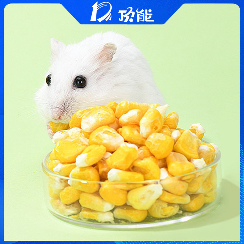 ペットハムスター、ゴールデンベア、チンチラ、スナック、栄養補助食品、乾燥野菜、フリーズドライコーン粒、FDフリーズドライ脱水加工|undefined