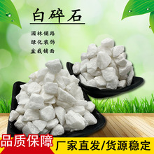 Slʯ쾰ʯ@ͥԺ·ɫʯӻ@bʯ^