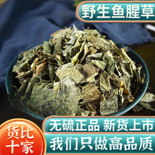 野生鱼腥草中药材500g250g100克鱼腥草泡水折耳根茶包干货鱼腥草
