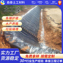防水防渗水土工膜鱼塘养殖护坡膜氧化塘聚乙烯垃圾填埋场用土工膜