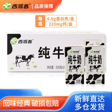 新疆纯牛奶206克*20盒牛奶成人营养早餐奶全脂纯奶为溢