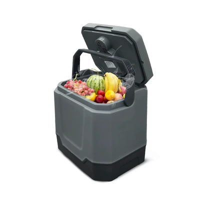Factory Direct Sales Supply 33L Small Car Refrigerator for Car and Home Use, Outdoor Camping Bluetooth Mini Refrigerator Wholesale