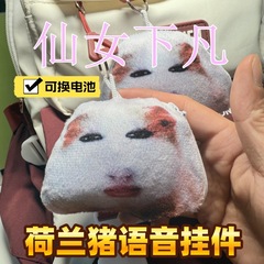 碧昂斯人脸荷兰猪猪妞仙女下凡语音挂件按压发声毛绒玩偶抽象饰品