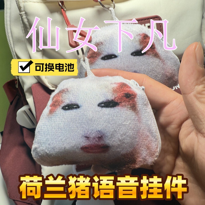 碧昂斯人脸荷兰猪猪妞仙女下凡语音挂件按压发声毛绒玩偶抽象饰品|undefined