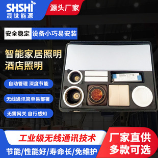 Smart Home Lighting Smart House Hotel Lighting Smart Dimming and Color Scheme Manufacturer Customization