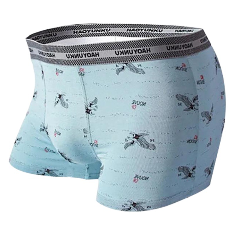 Men's Underwear Pure Cotton Crotch Boxer Briefs Youth Mid-Waist Comfortable Breathable Seamless Underwear Boys Trendy Underwear