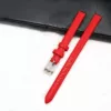 Red oolong tea Da Hong Pao, watch strap, silver needle