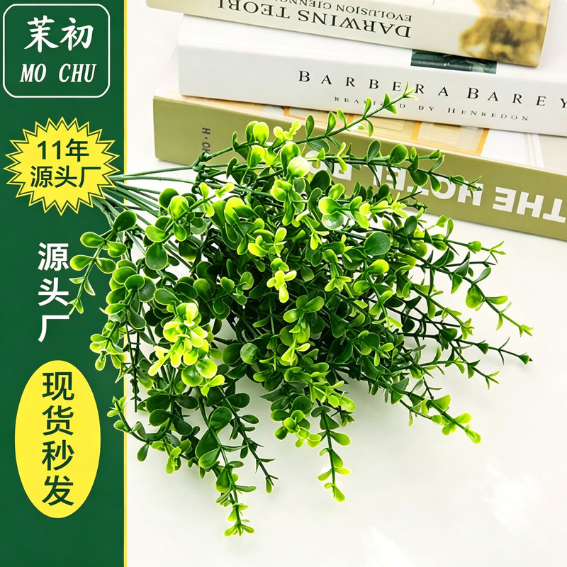 Mochu Plastic Grass Artificial Eucalyptus Artificial Plant Wall Potted Flower Arrangement Decoration 49 Mesh Money Grass Eucalyptus Mochu Plastic Grass Artificial Eucalyptus Artificial Plant Wall Potted Flower Arrangement Decoration 49 Mesh Money Grass Eucalyptus