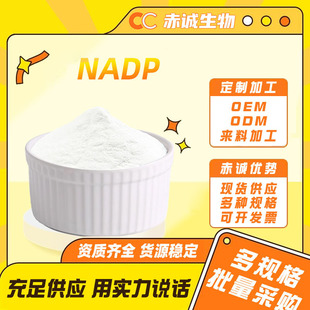 NADP�������oø��۟������������p��߰�������}���\����Ƽ�ԭ��